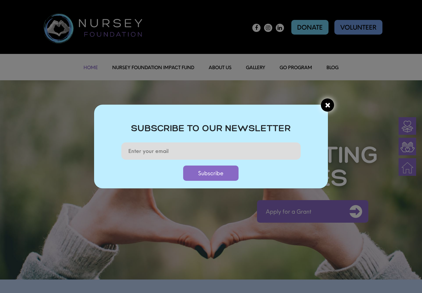 Nursey Foundation website designed by Falcon Marketing