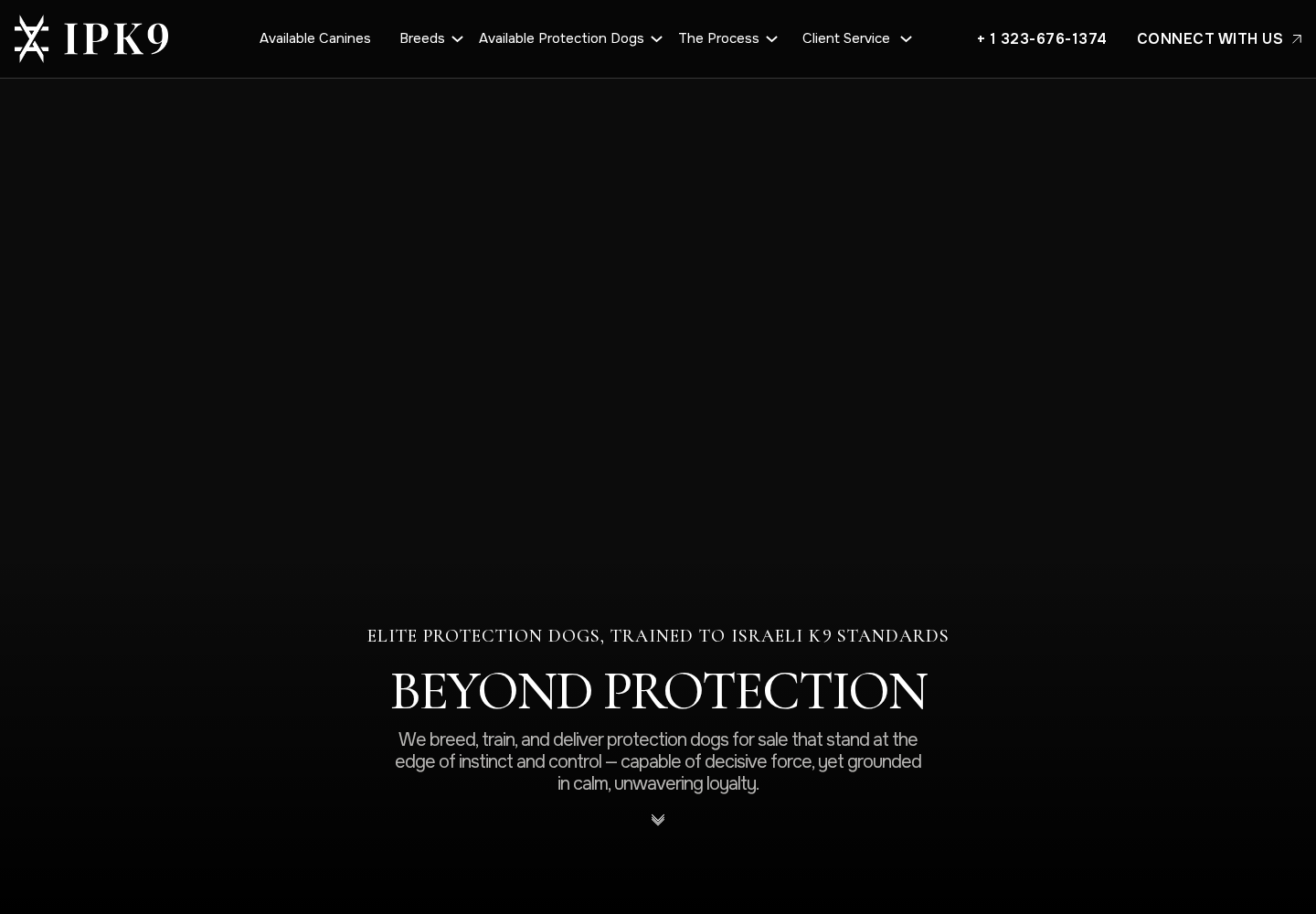 Israel Protection K9 website designed by Falcon Marketing