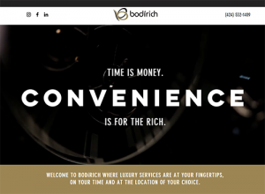 bodirich website design